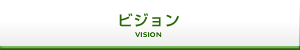 ビジョン