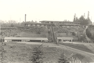 1960年